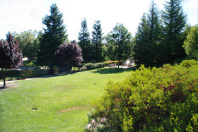 BBQ Area